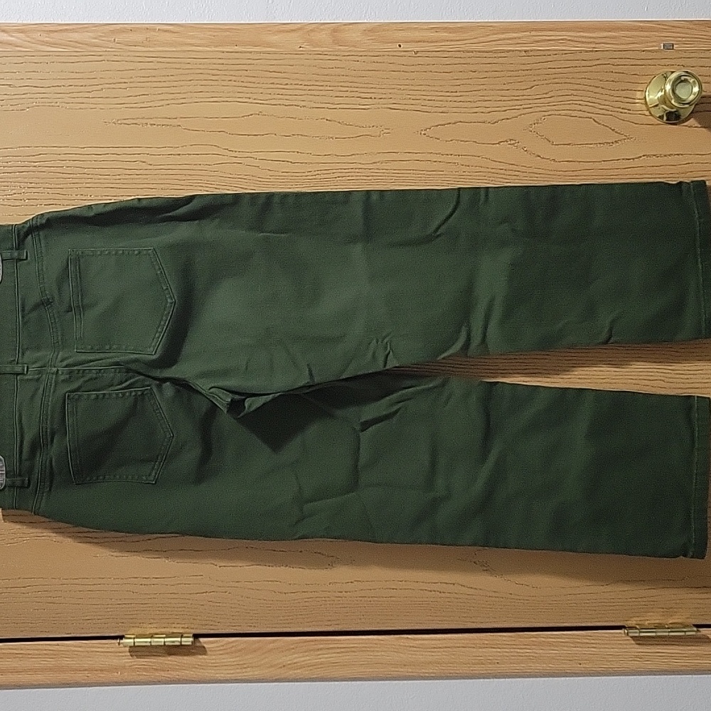 Forest Green Denim Pants - Picture 2 of 3